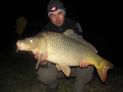 Moara Vlasiei 2 10 - 11 nov.